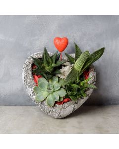 Rock Garden Succulents of Love