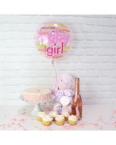 Welcome Princess Baby Girl Gift Set
