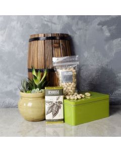 Snacks & Succulent Gift Set