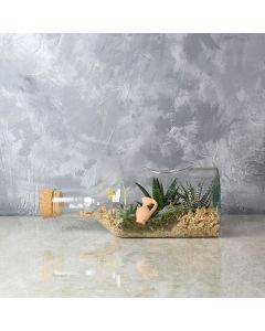 Cliffcrest Succulent Garden in a Bottle