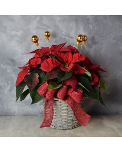 Festive Poinsettia Gift Basket