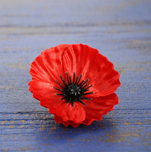 Our Remembrance Day Gift Ideas for Bosses & Employees